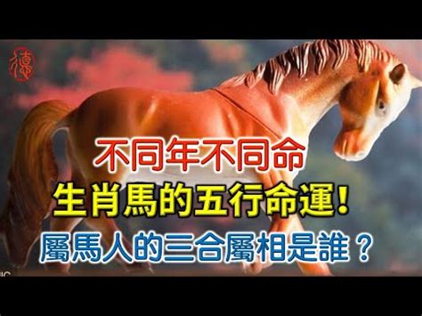 庚午年馬|【1990屬馬五行】1990屬馬五行解密：五行屬性與命運分析